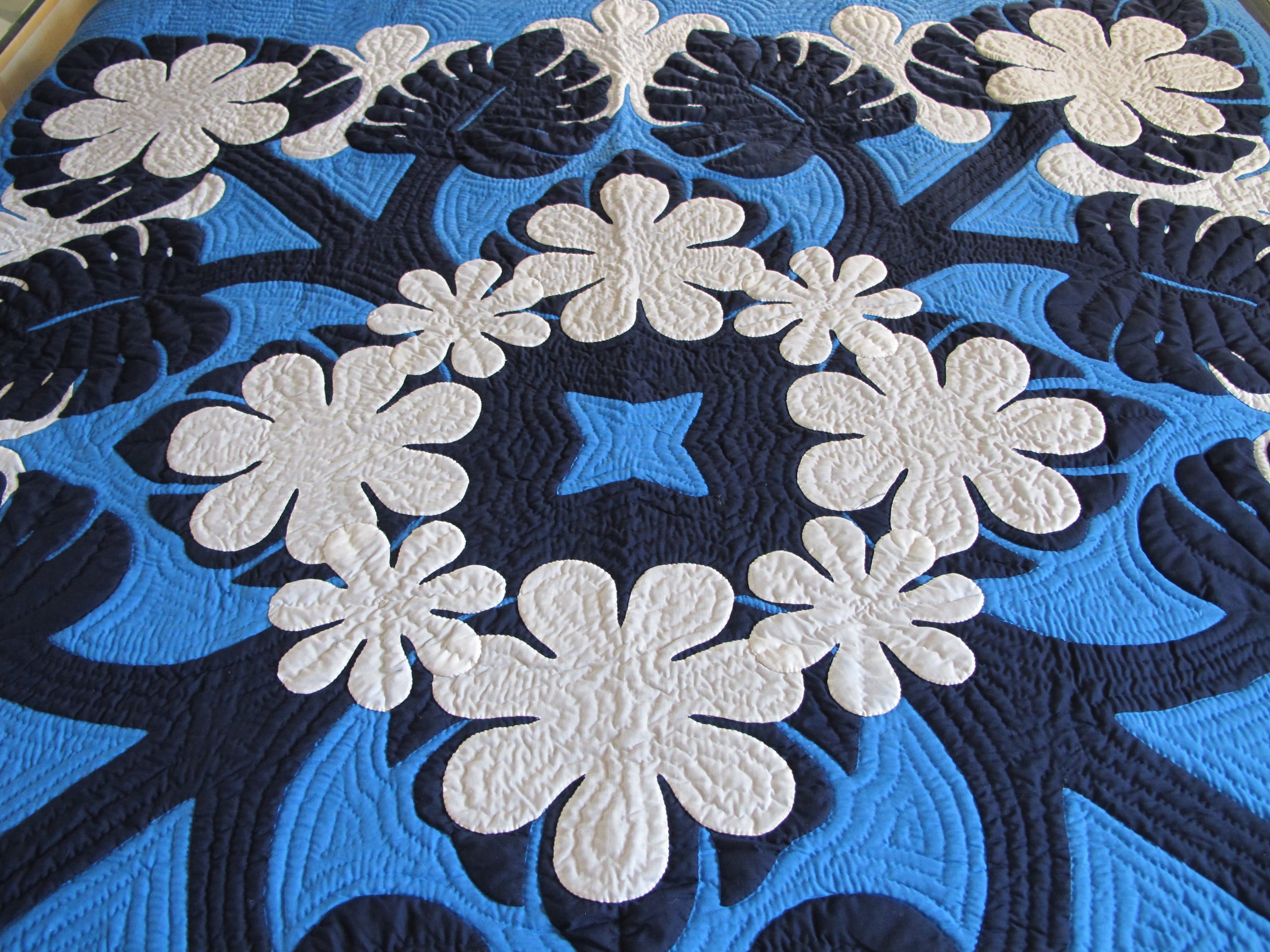 Monstera Tiare NBMB - Image 2