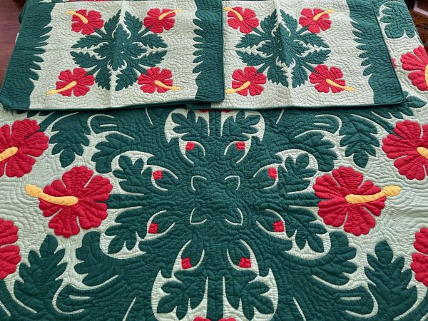 Hibiscus 2 pillow shams BGRCG - Image 3