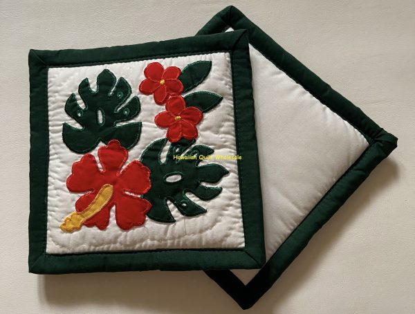 Hibiscus Monstera BGR