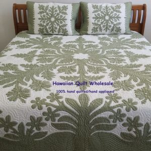 Hibiscus Plumeria Torch Flowers